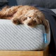 Leesa Mattress | Amazon